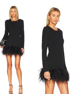 Lamarque Bahira Knit Feather Trim Mini Dress in Black Revolve Large